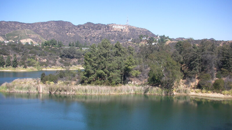 Hollywood Sign on Hill — Blue