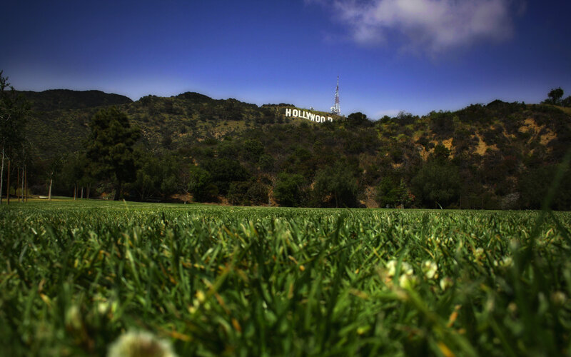 Hollywood Sign on Hill — Green