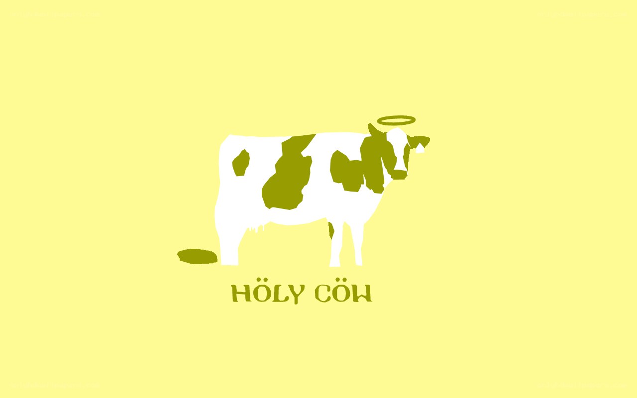 holy cow illustration