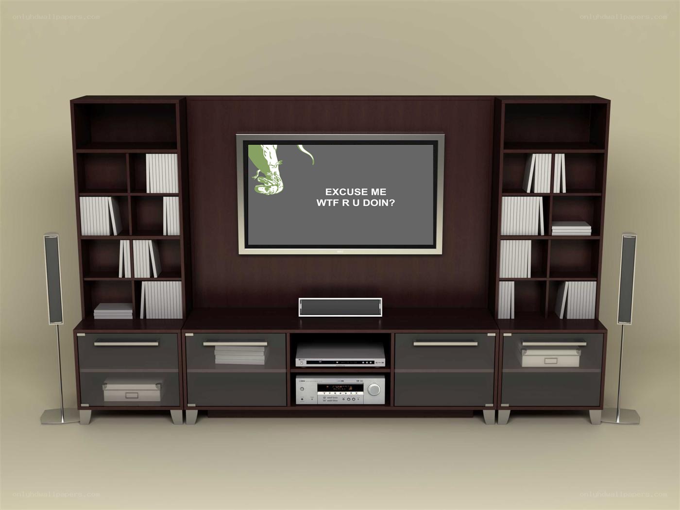 Home entertainment center setup