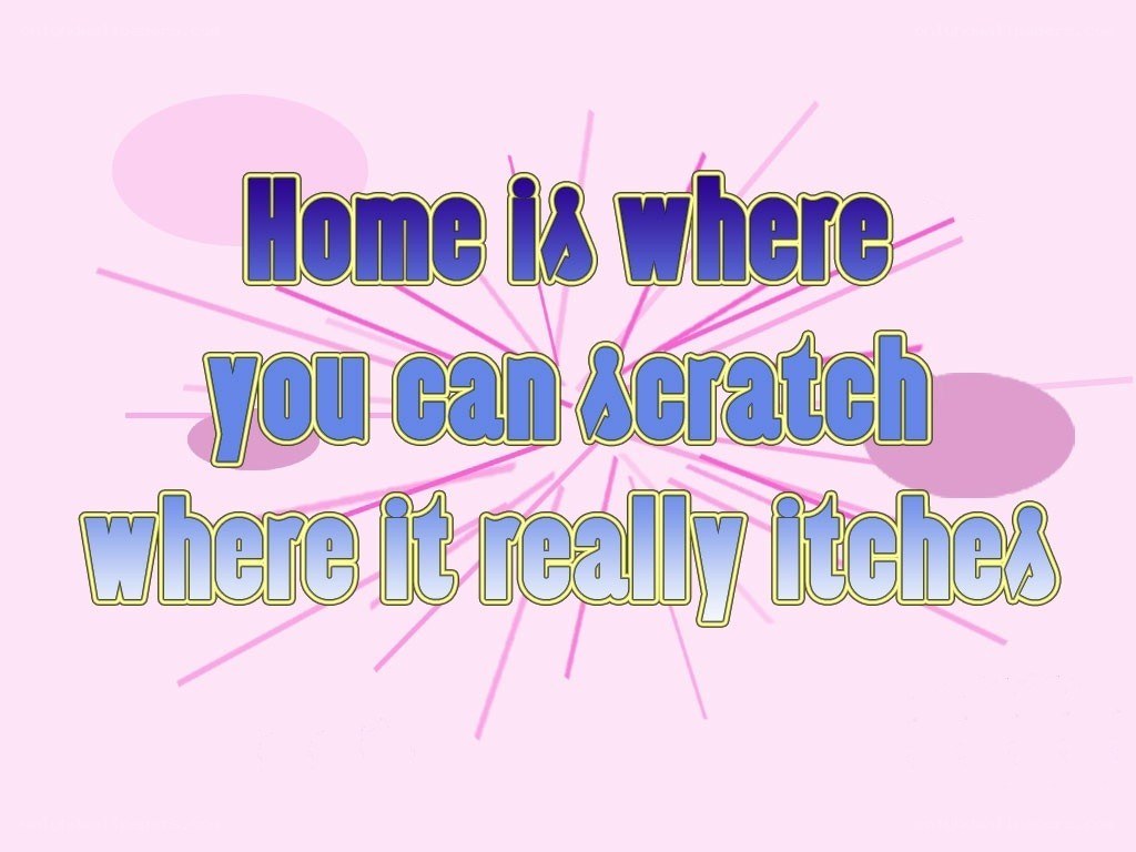 home is where you can scratch