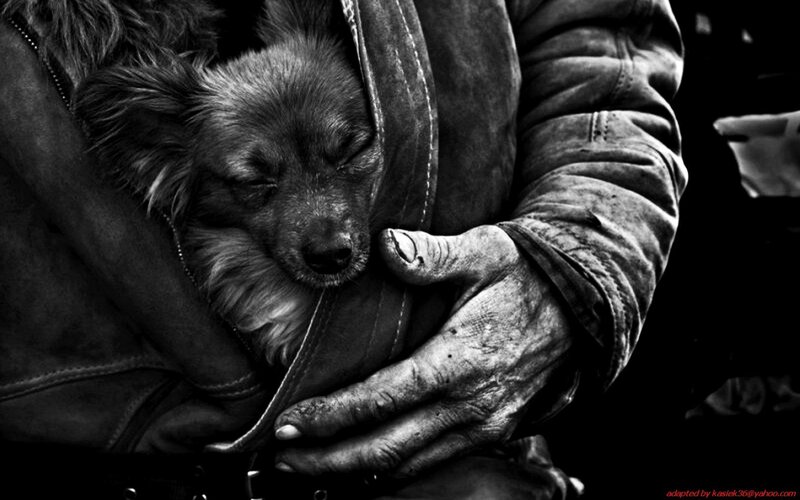 Homeless person holding a dog