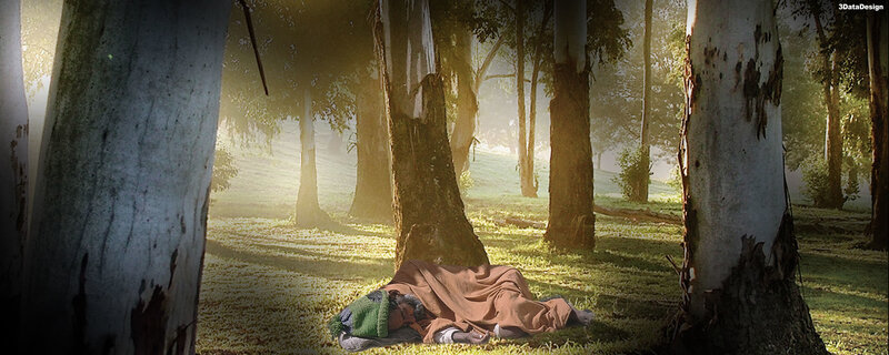 Homeless person sleeping in forest