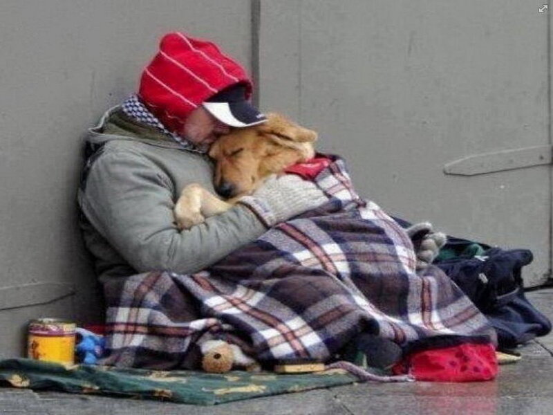 Homeless Person with Dog