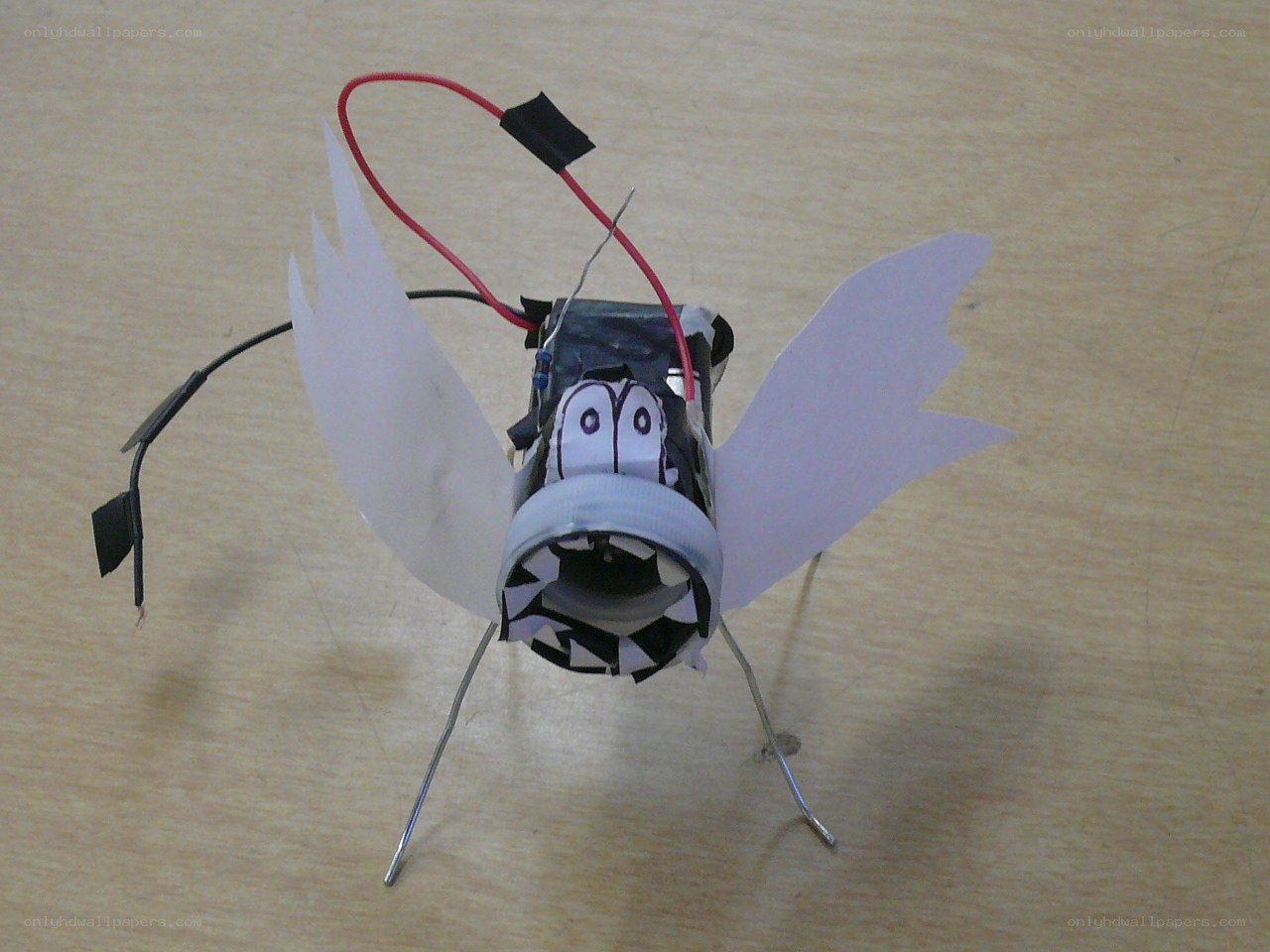 homemade robot insect
