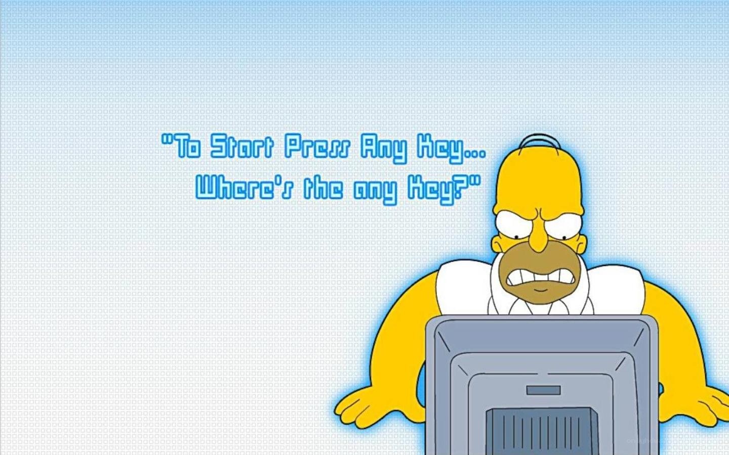 Homer Simpson at computer