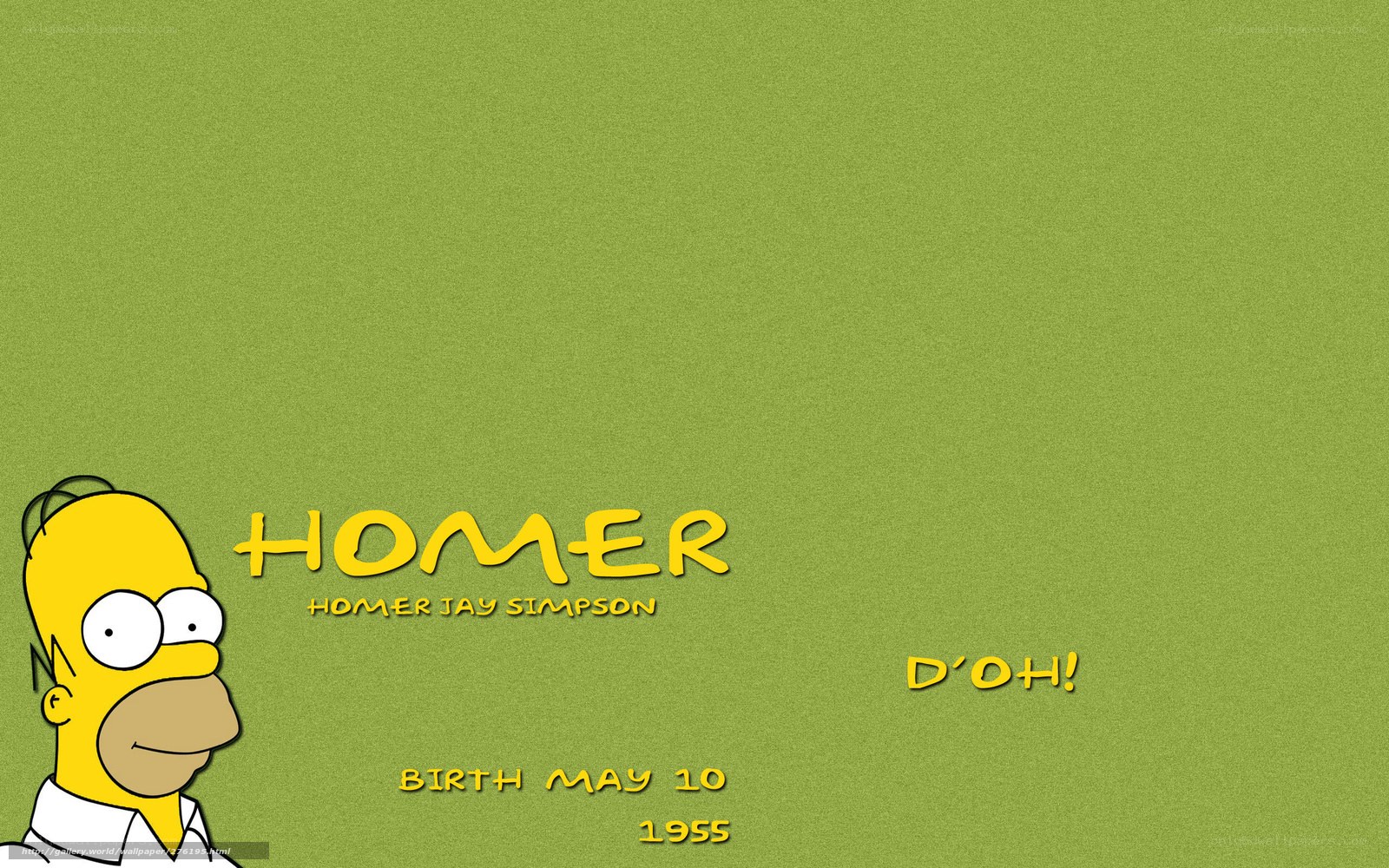 Homer Simpson character info