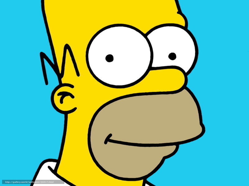 Homer Simpson close-up