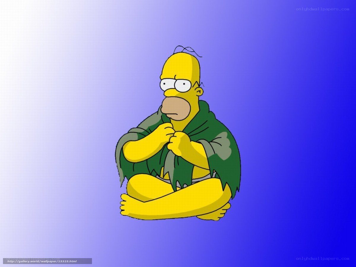 Homer Simpson in a cloak