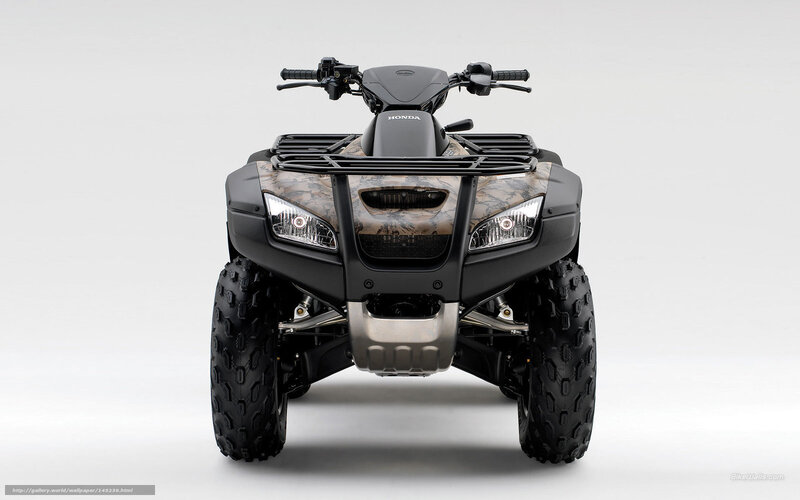 Honda ATV front view