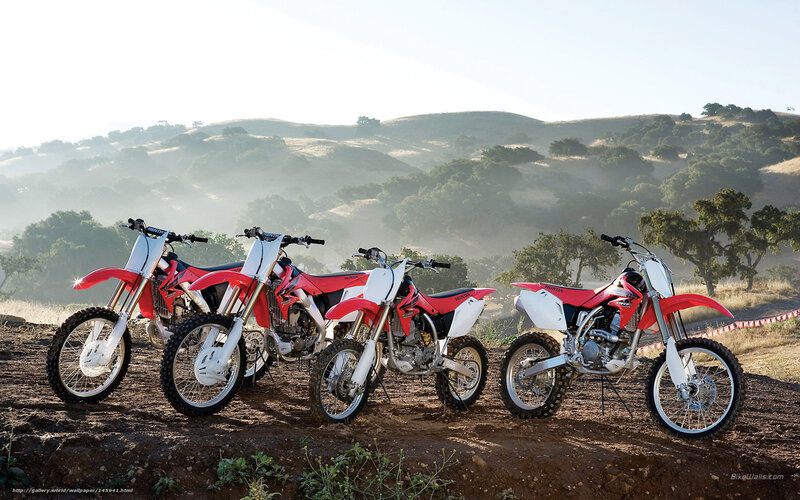 Honda dirt bikes in a field