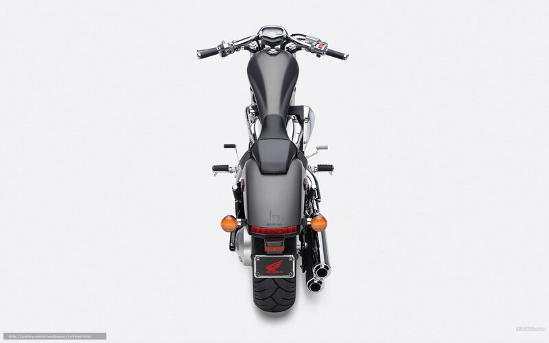 Honda Fury motorcycle rear view