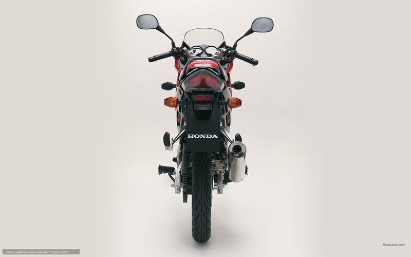Honda motorcycle rear view