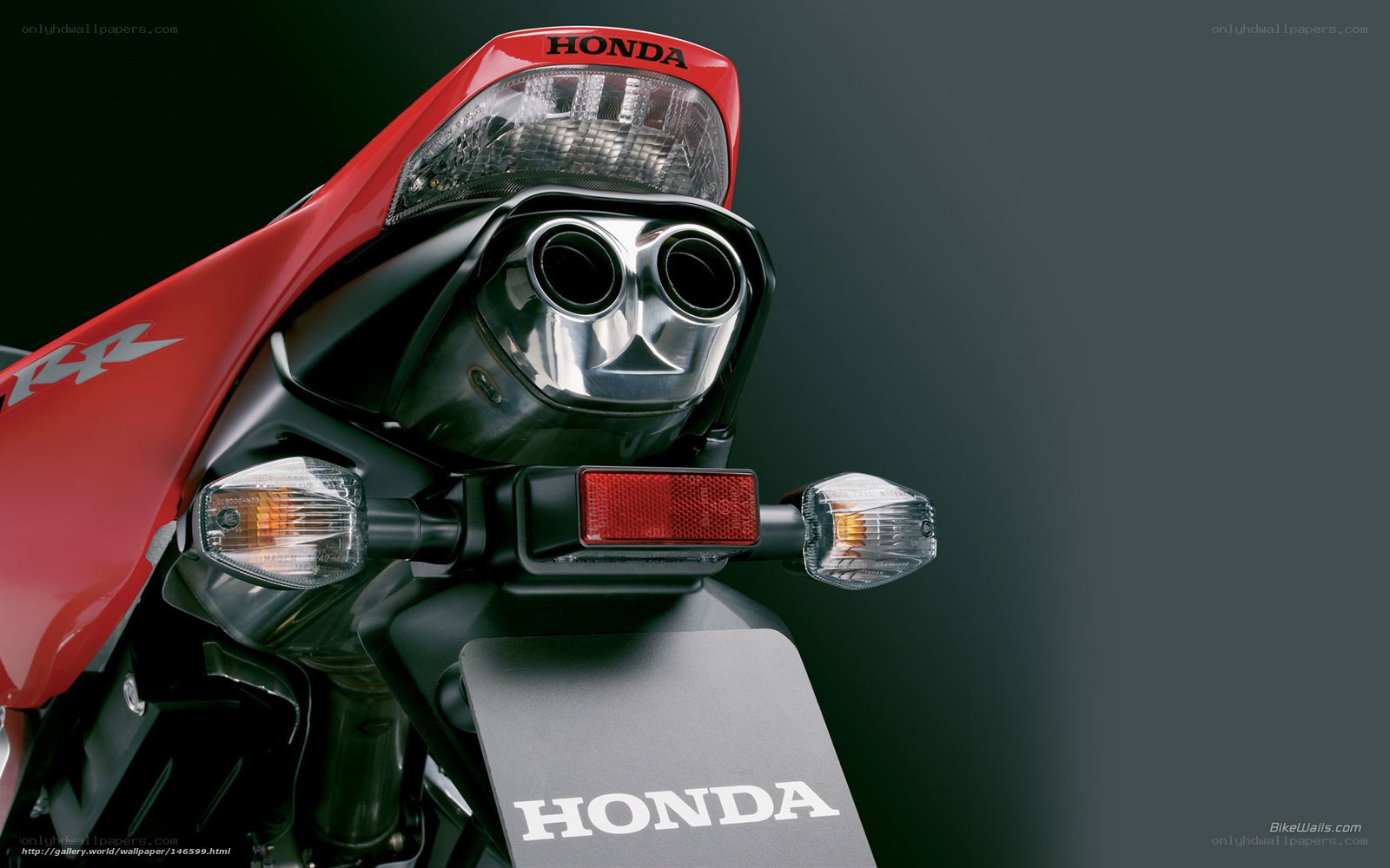 Honda motorcycle rear view