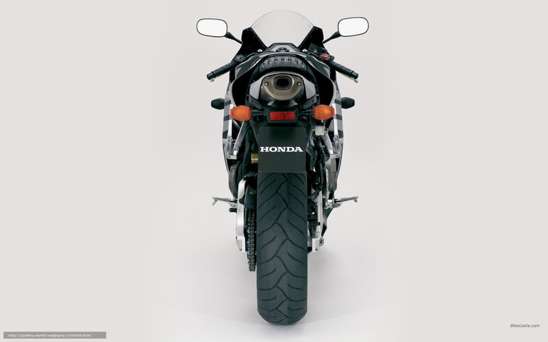 Honda sport motorcycle rear view