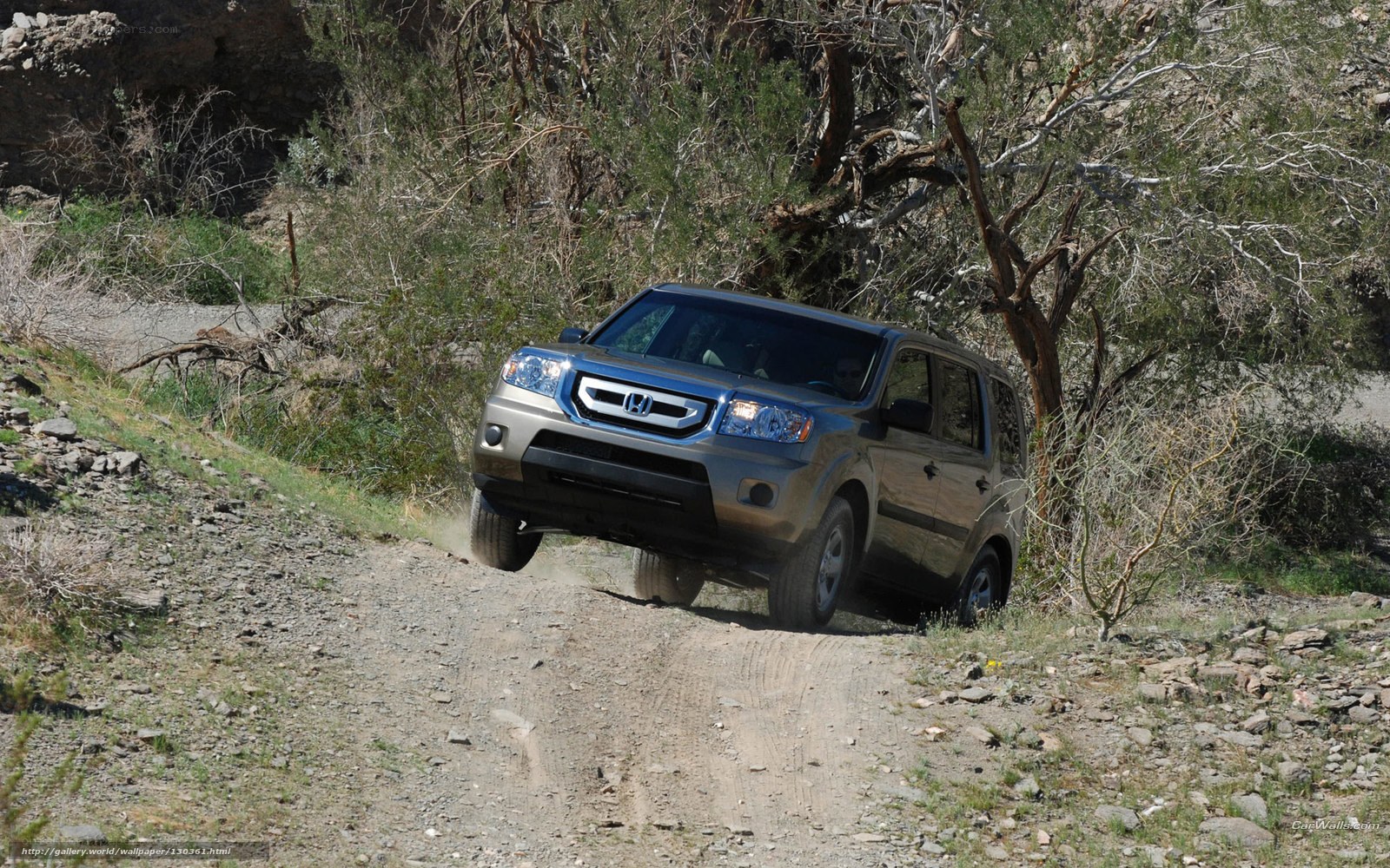 Honda SUV on dirt road