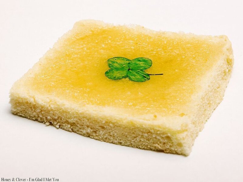 Honey and clover on bread