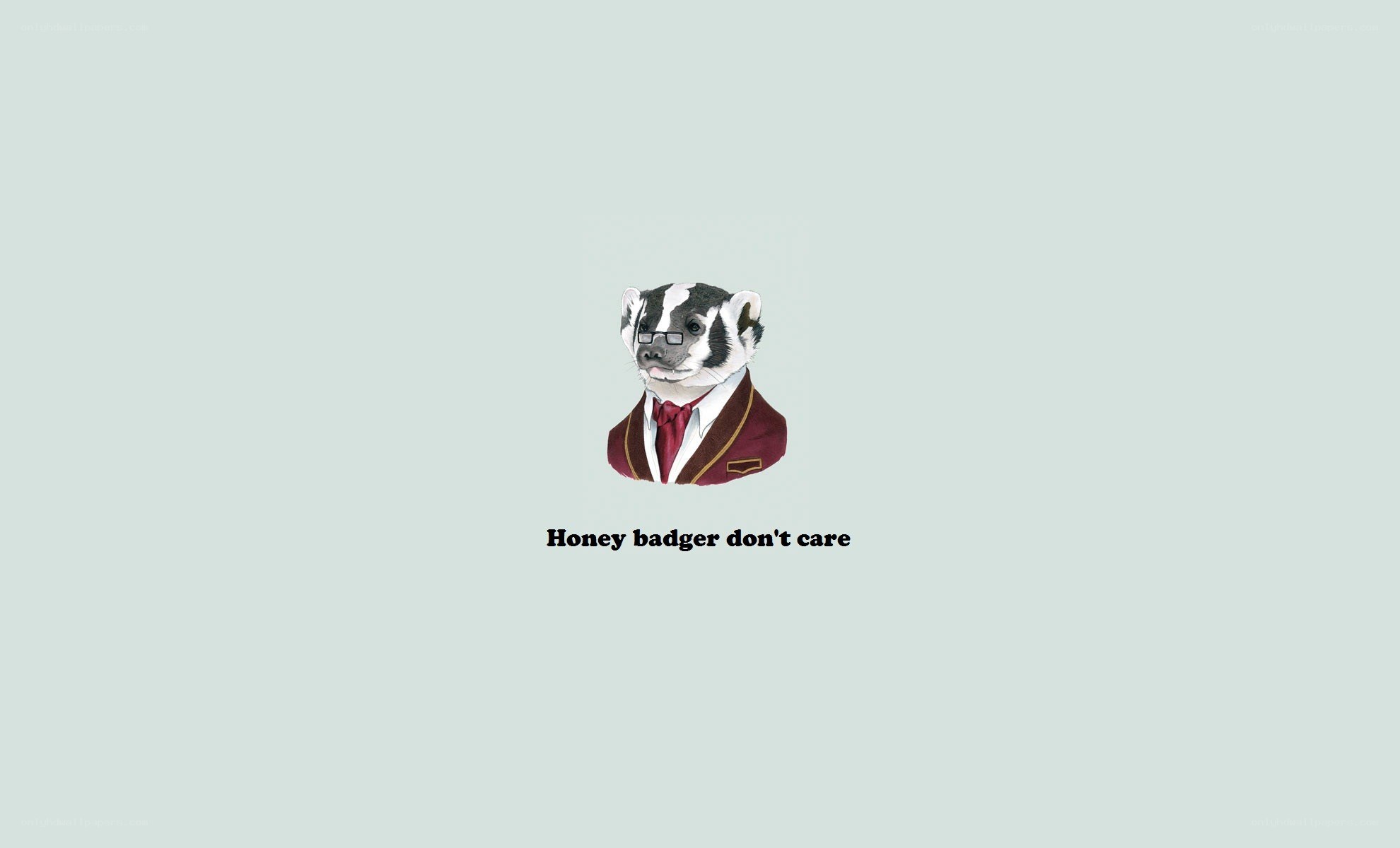 Honey badger doesn't care