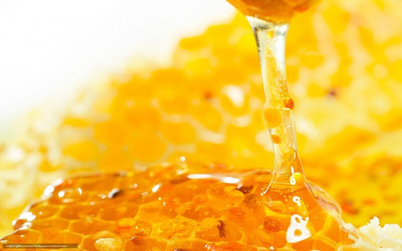 honey dripping from honeycomb