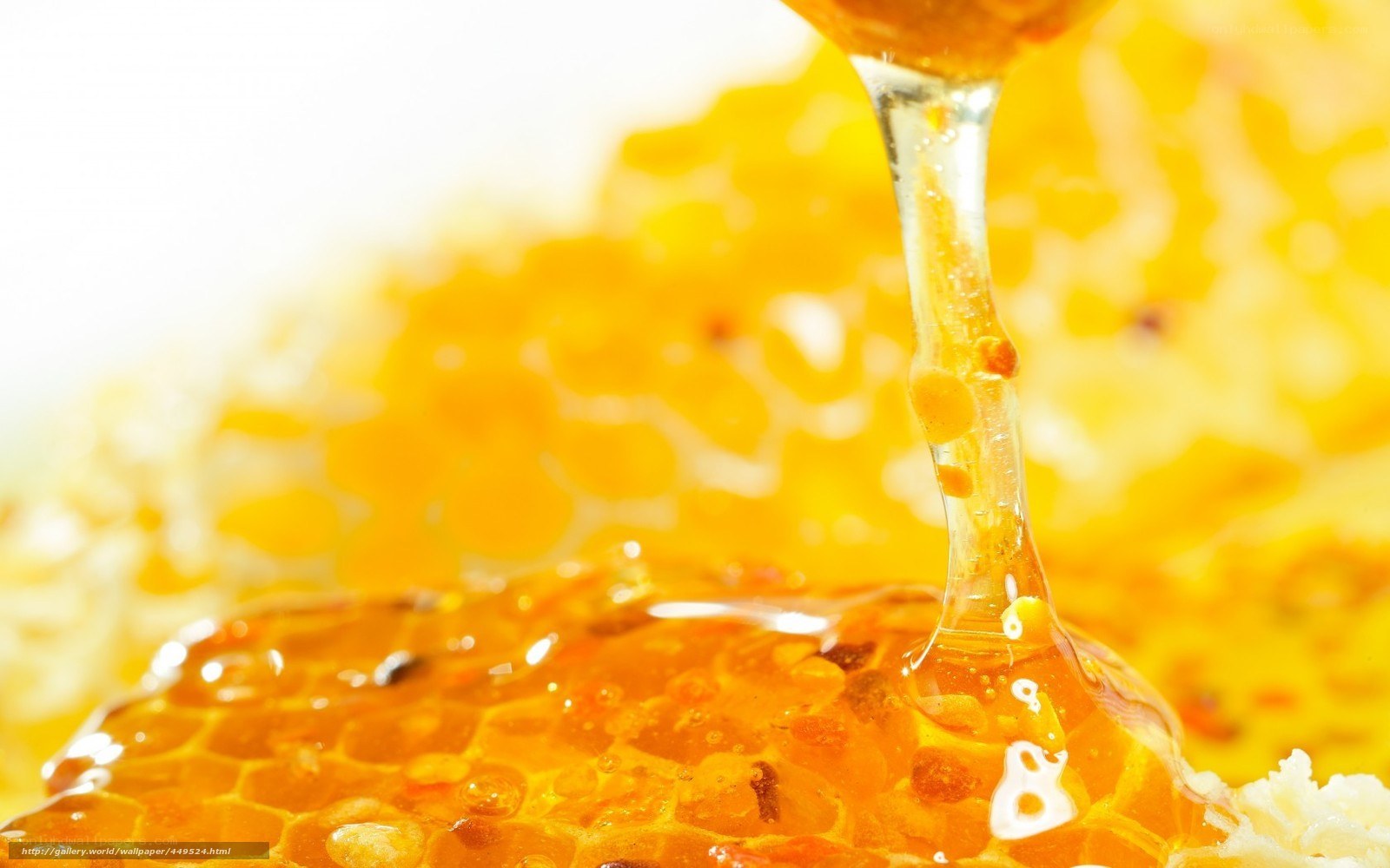honey dripping from honeycomb