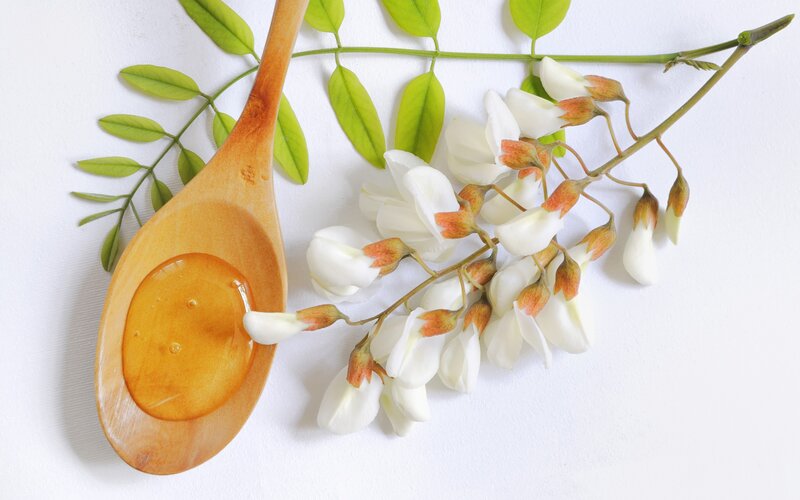 Honey on Wooden Spoon — White