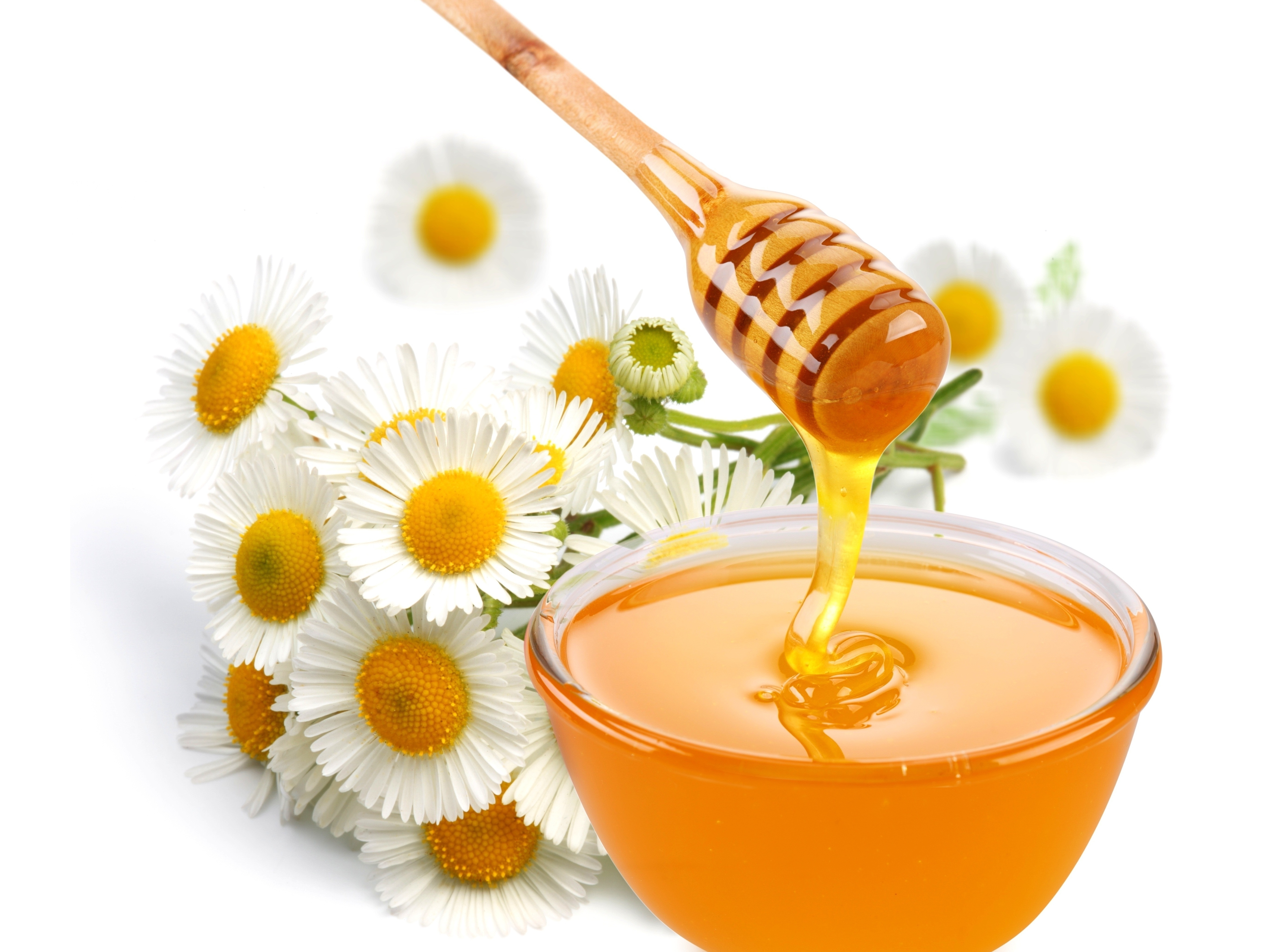 honey with chamomile flowers