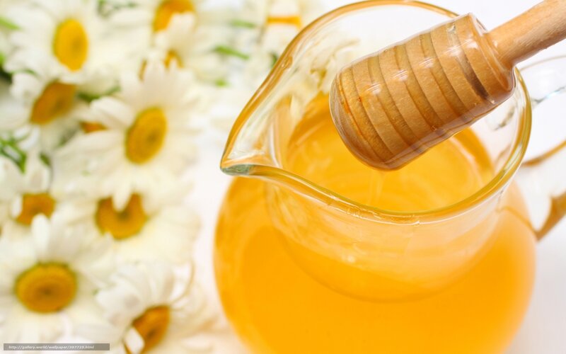 honey with daisies