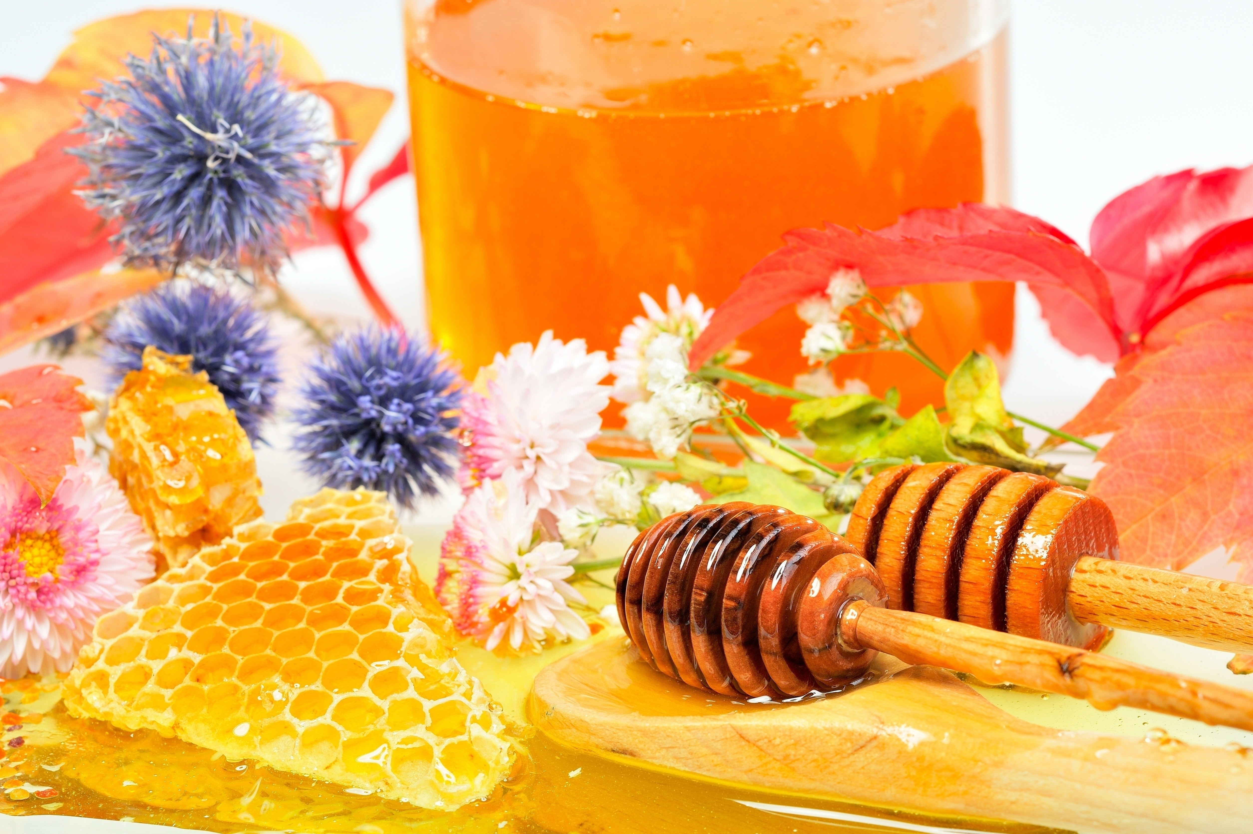 Honey with flowers and honeycomb