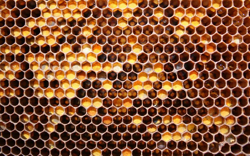 Honeycomb Structure — Brown, Natural