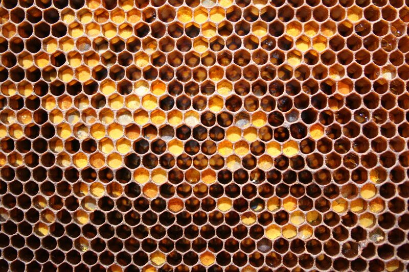 honeycomb structure close-up