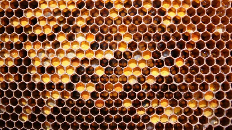 Honeycomb Structure — Yellow