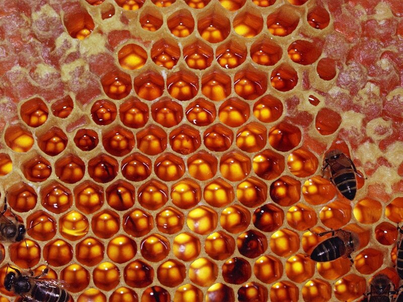 Honeycomb with Bees — Yellow