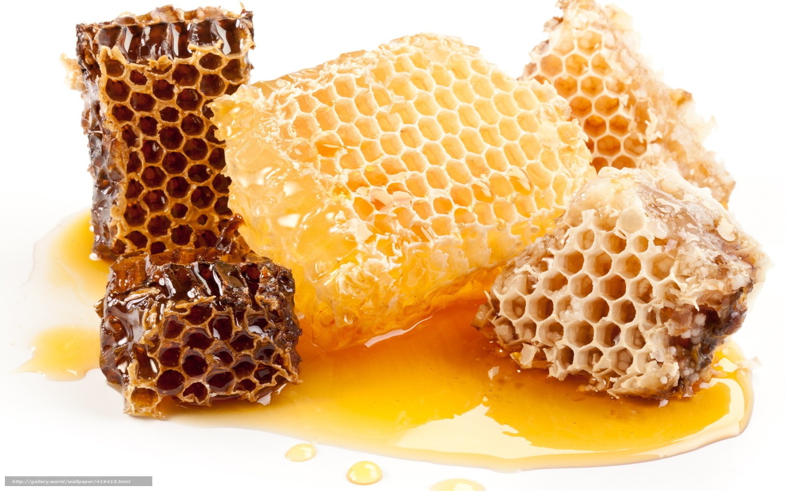 honeycomb with dripping honey