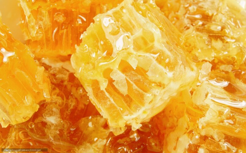 honeycomb with honey