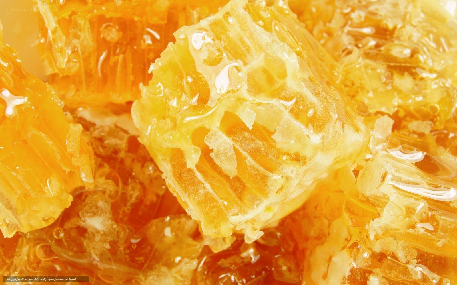 honeycomb with honey