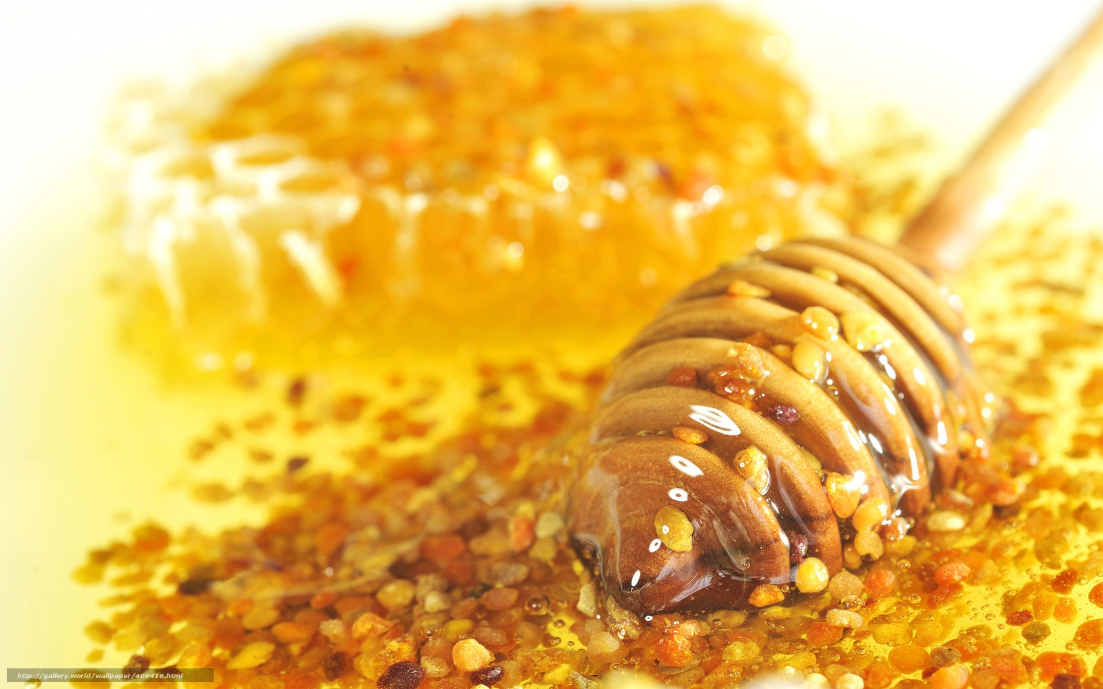honeycomb with honey dipper