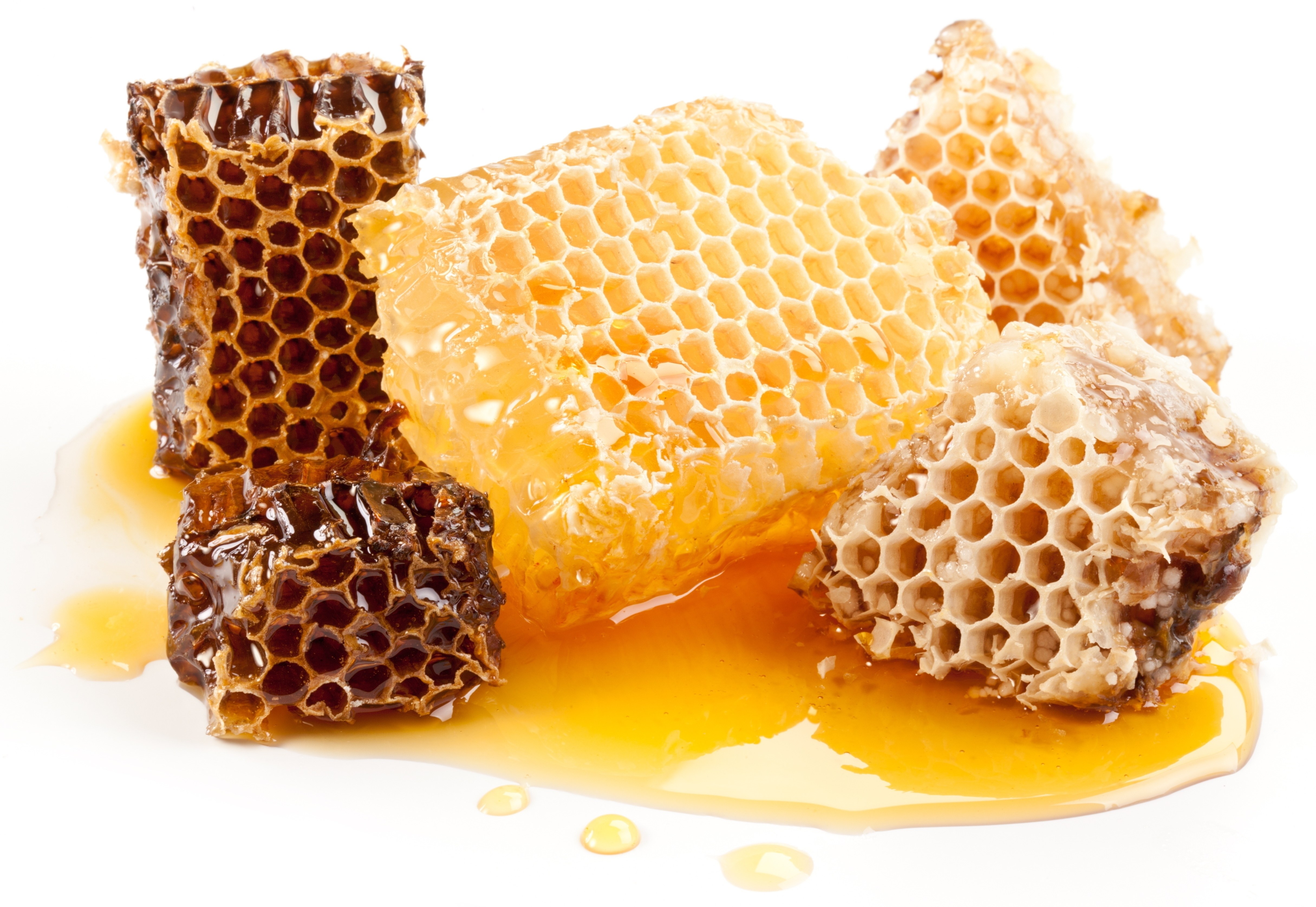 honeycomb with honey