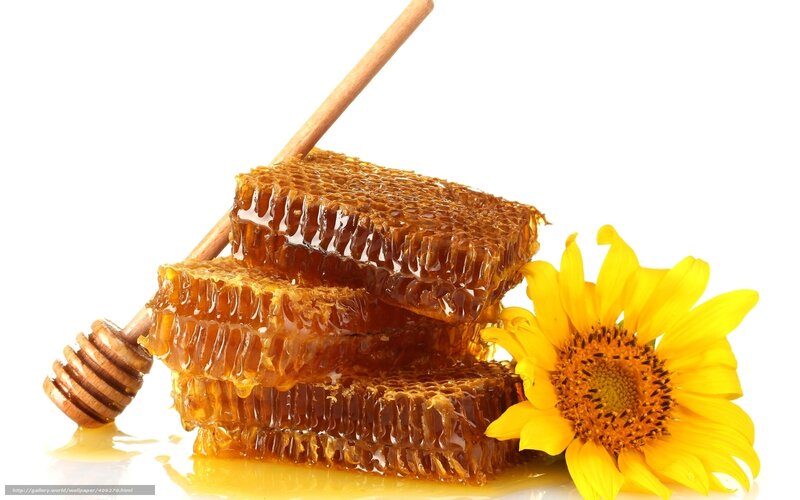 honeycomb with sunflower