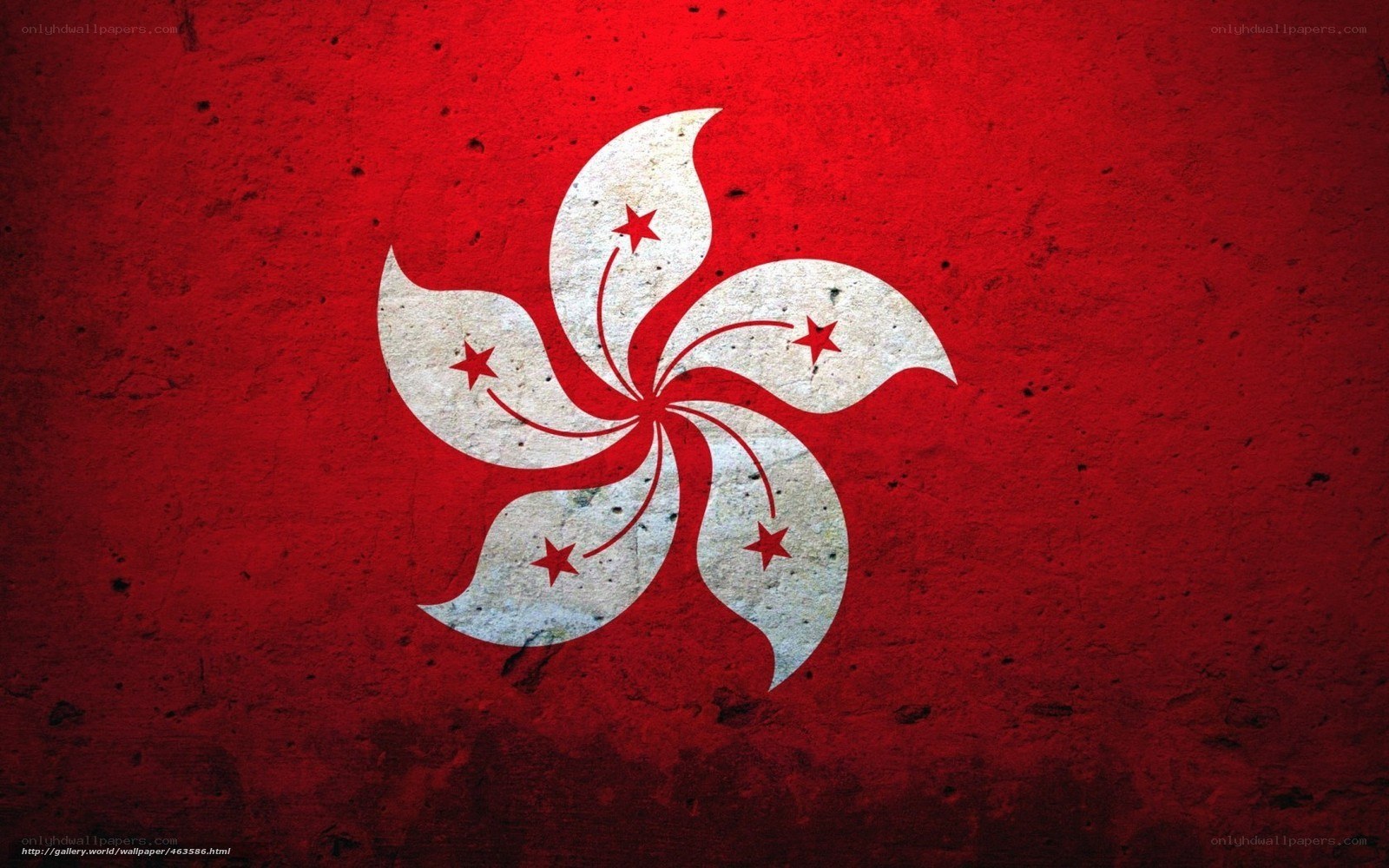 Hong Kong flag on red wall