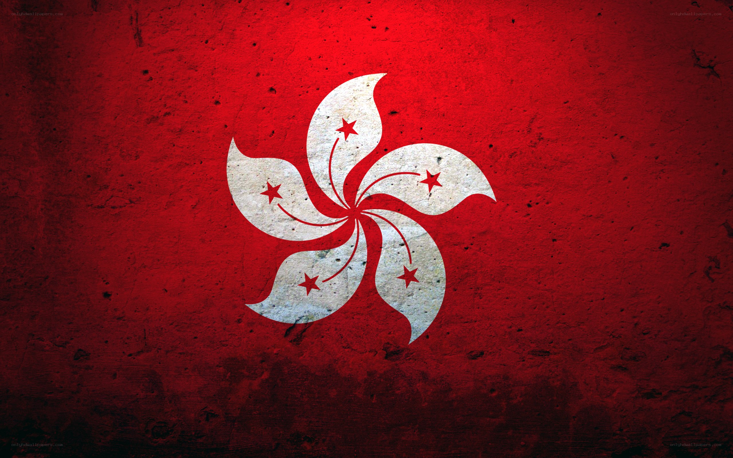 Hong Kong flag on textured wall
