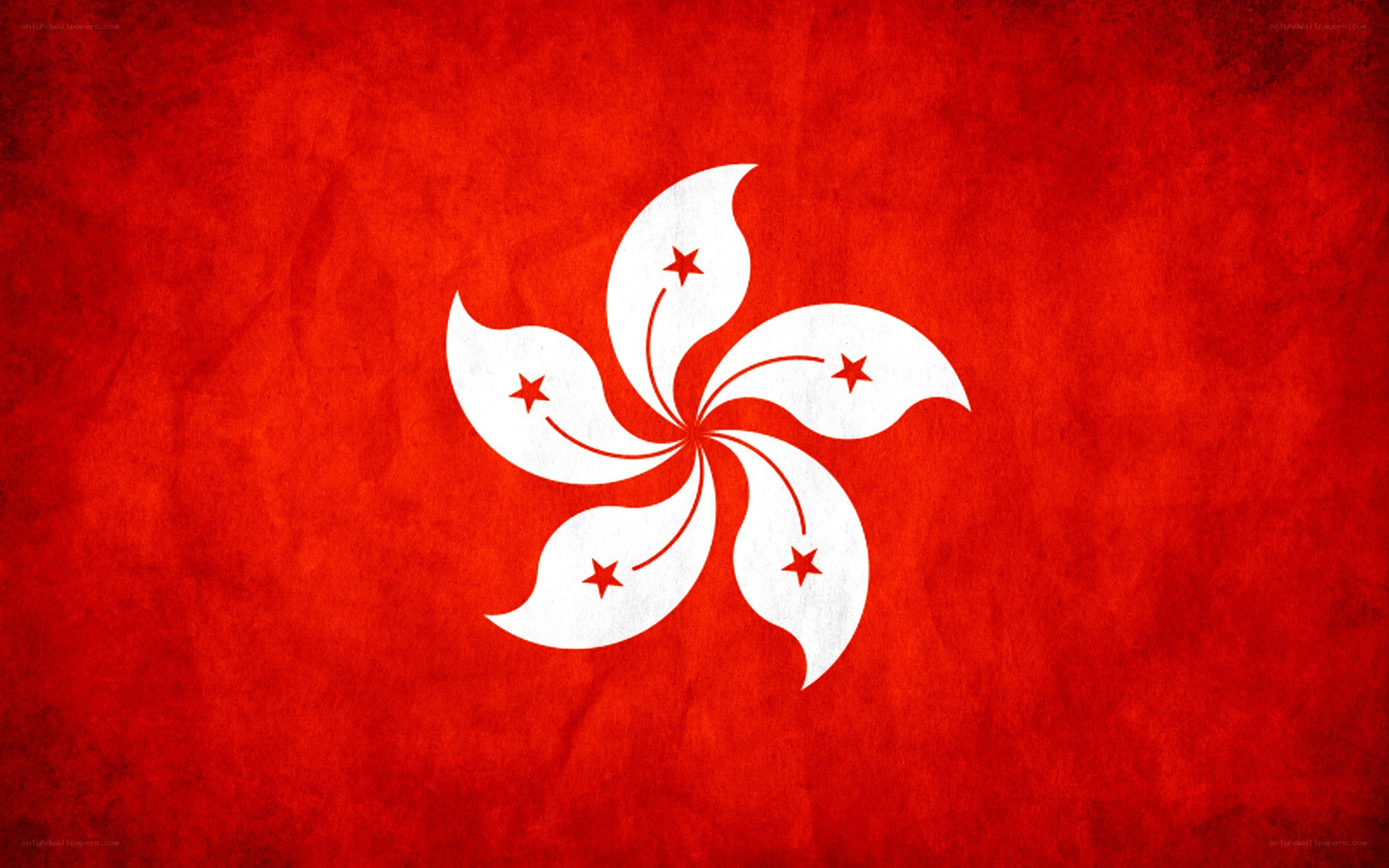 Hong Kong flag with textured background