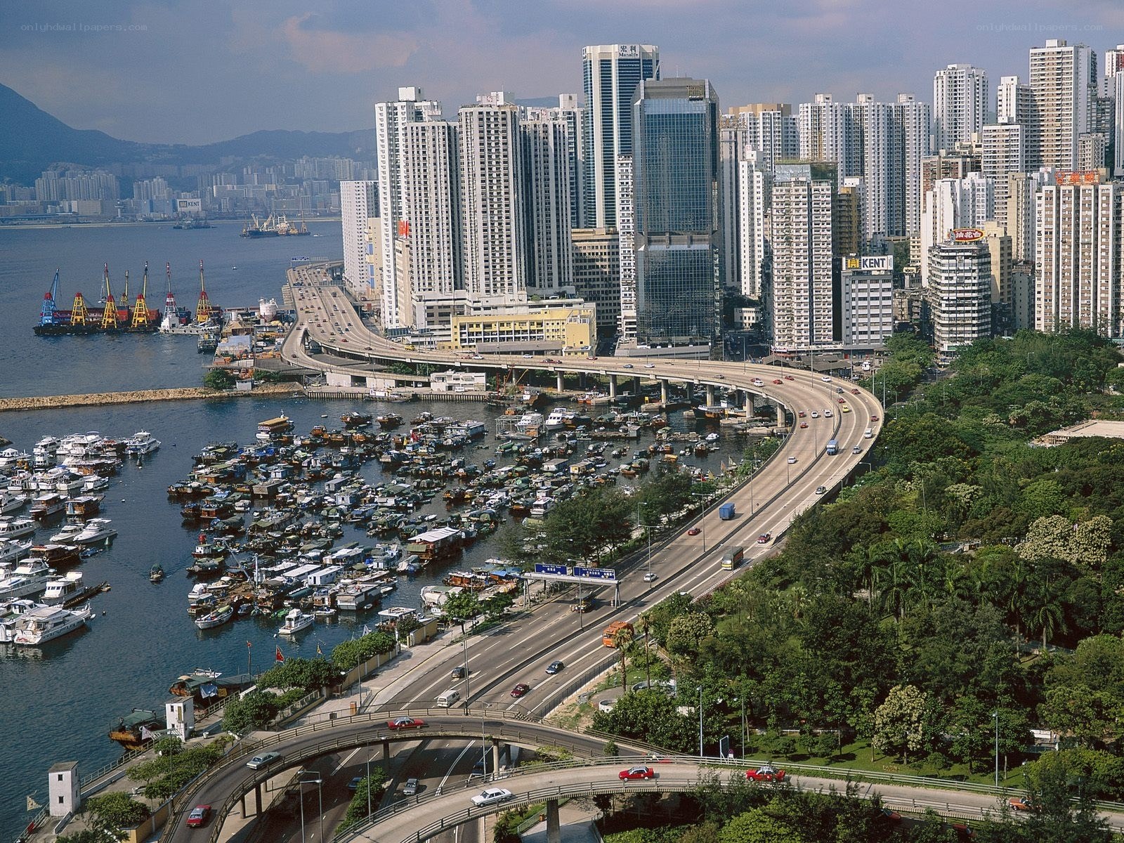 Hong Kong harbor and cityscape