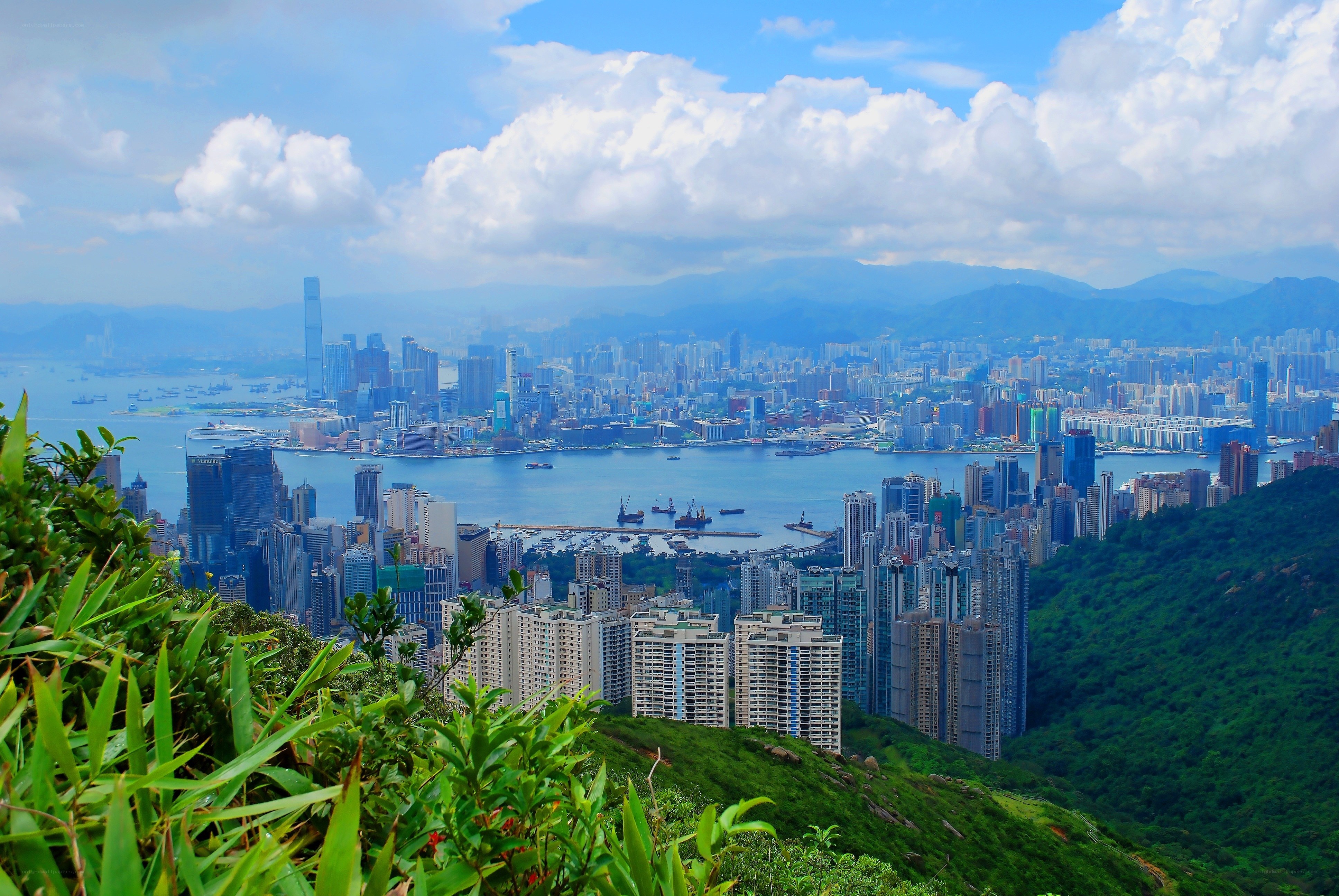 Hong Kong skyline from a hill