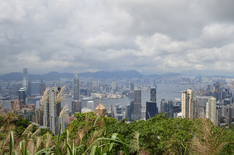 Hong Kong Skyline — Gray, Overcast