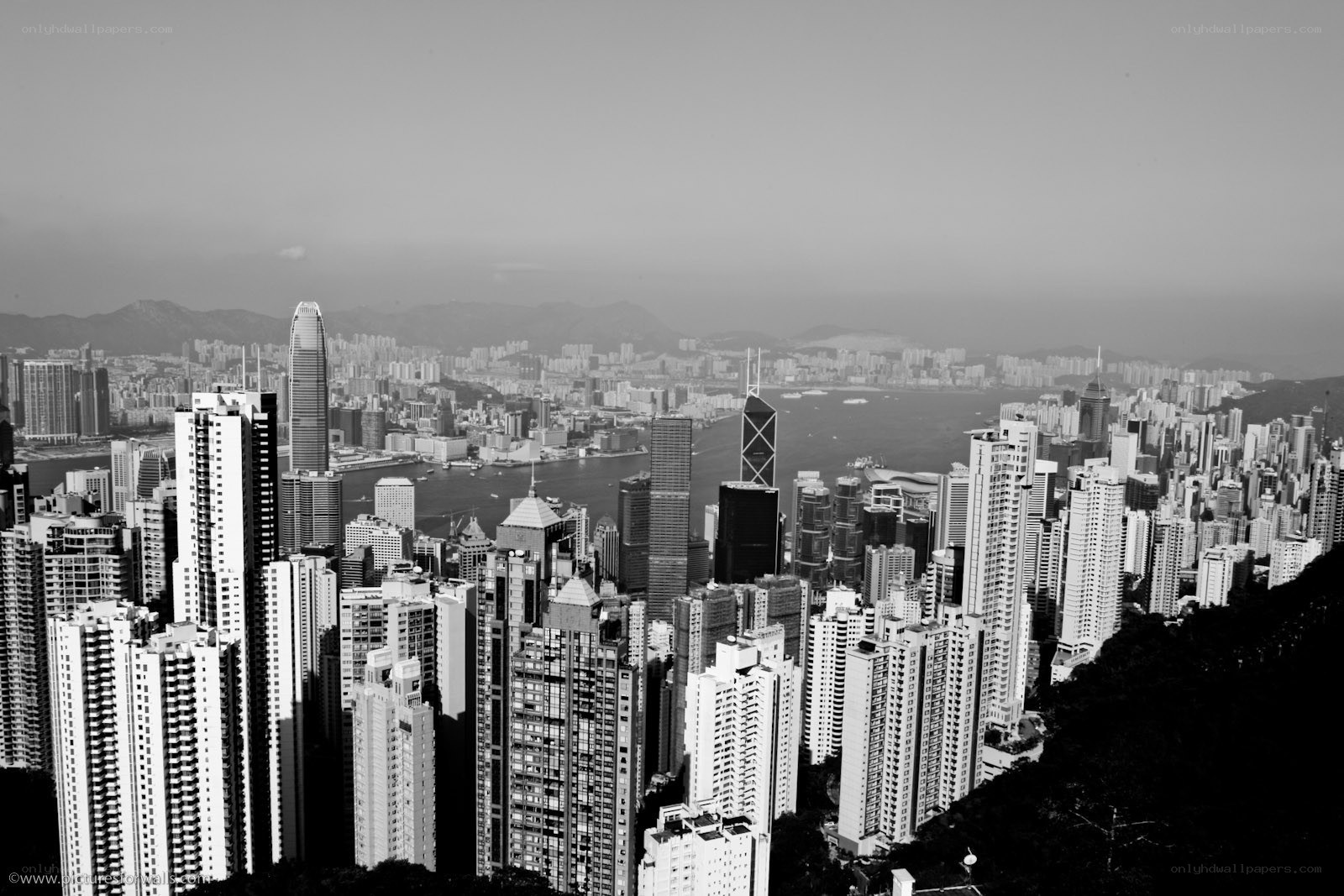 Hong Kong skyline view