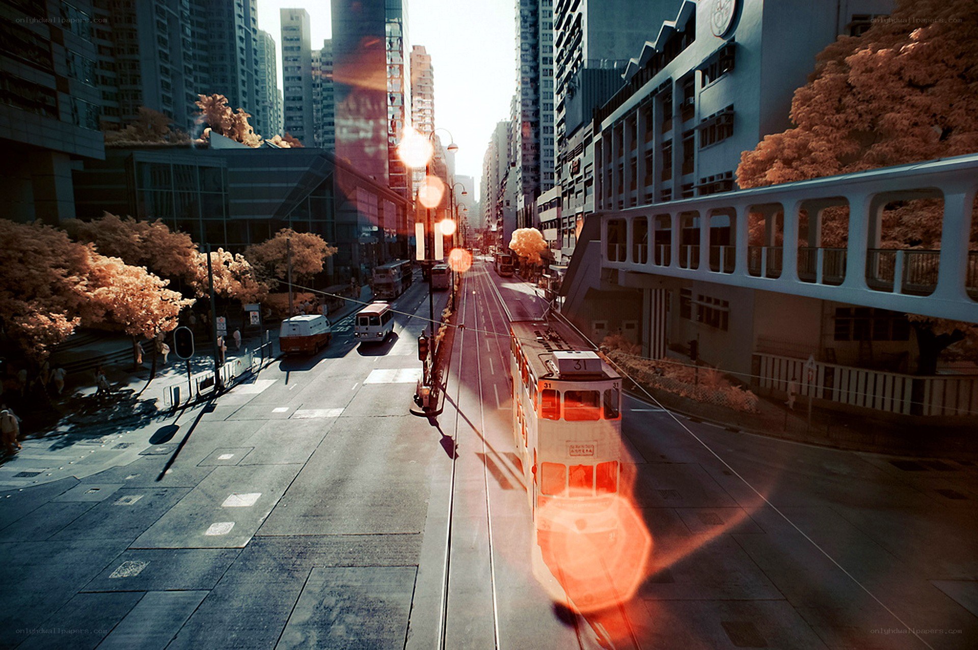 Hong Kong street with tram