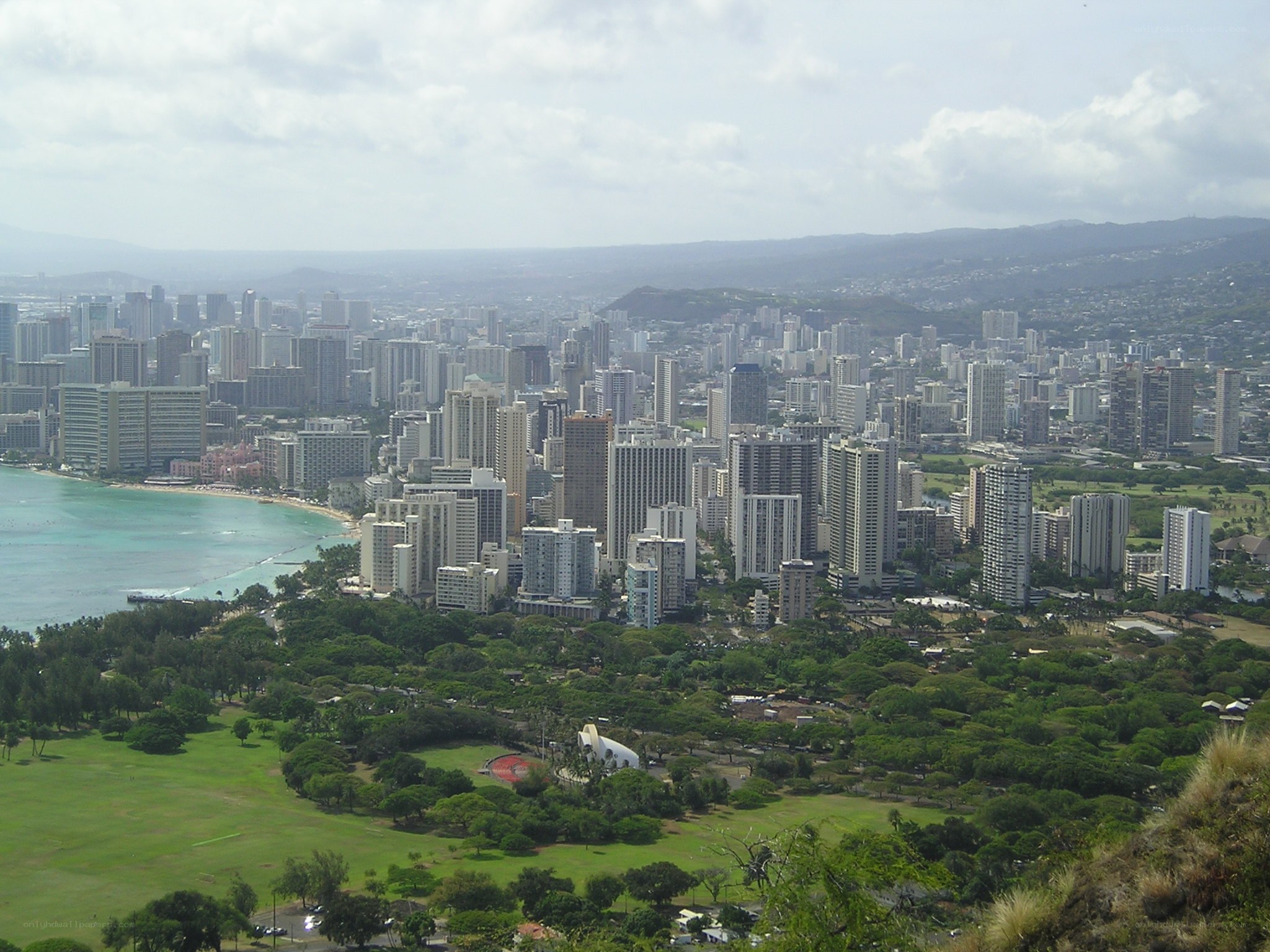 Honolulu cityscape from a hill