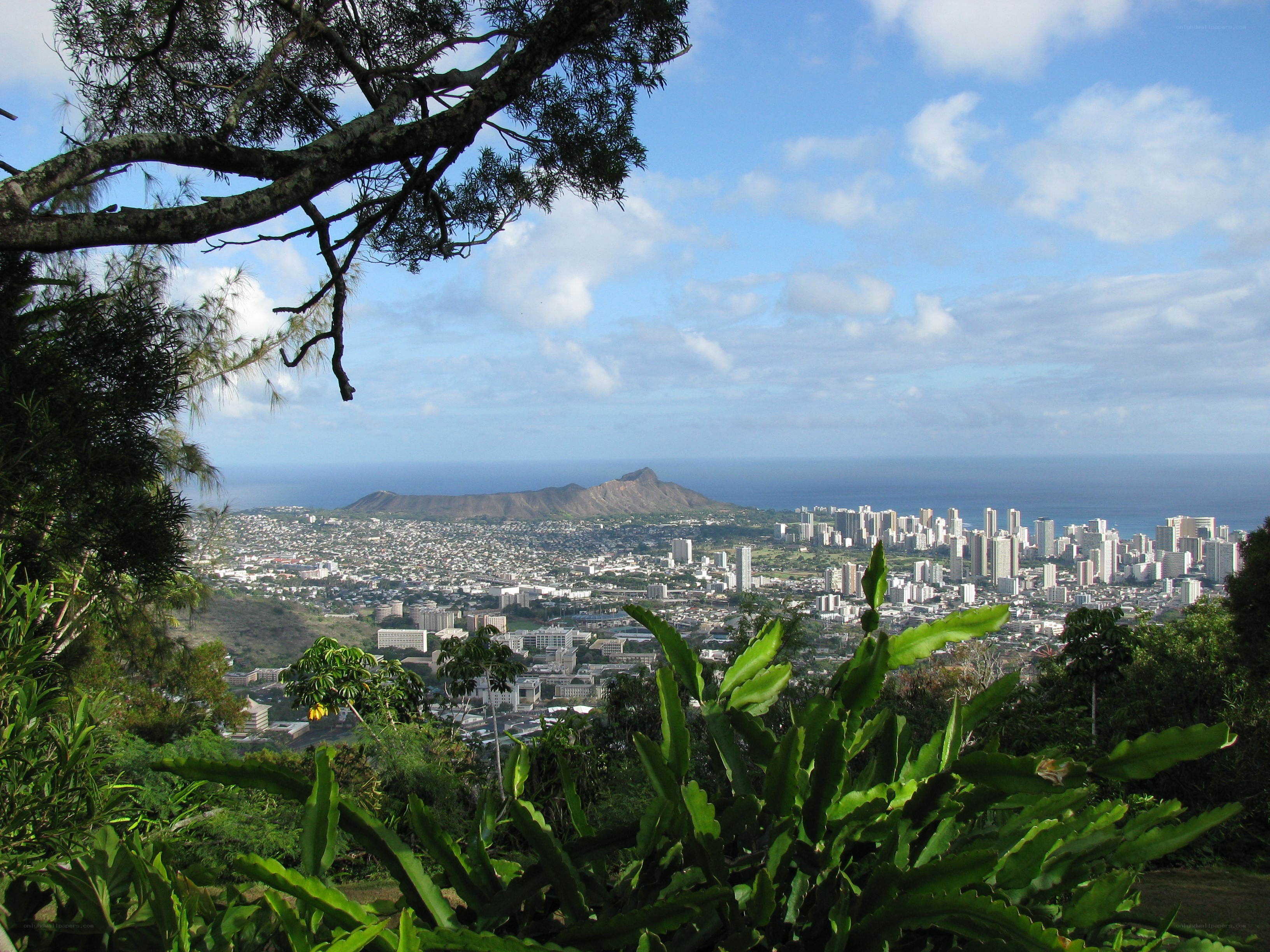 Honolulu cityscape with Diamond Head
