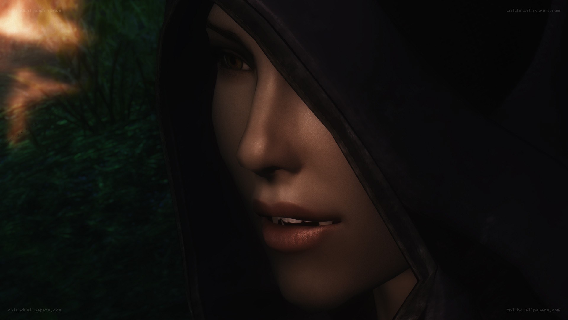 hooded character in dark forest