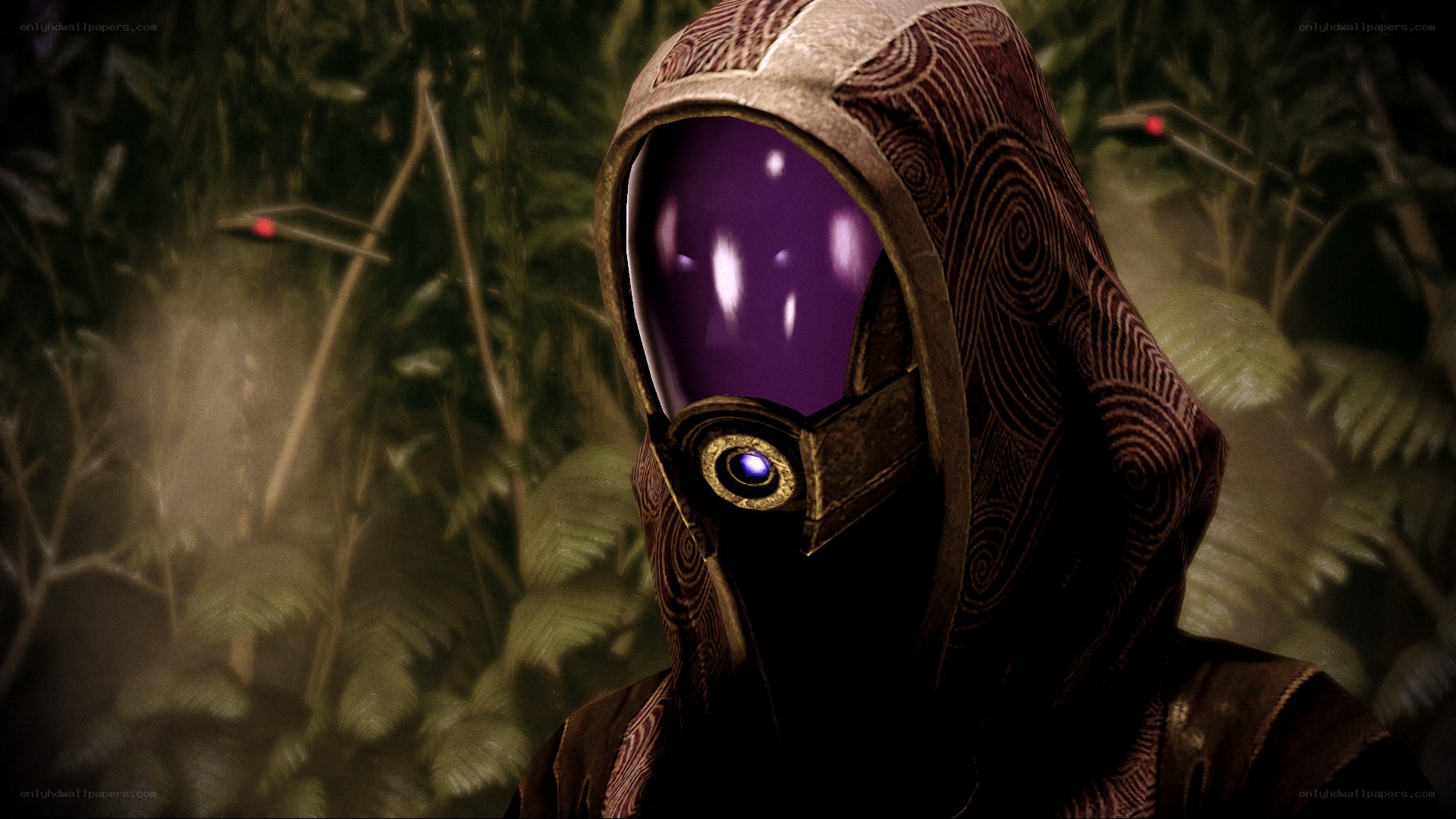 hooded figure in jungle